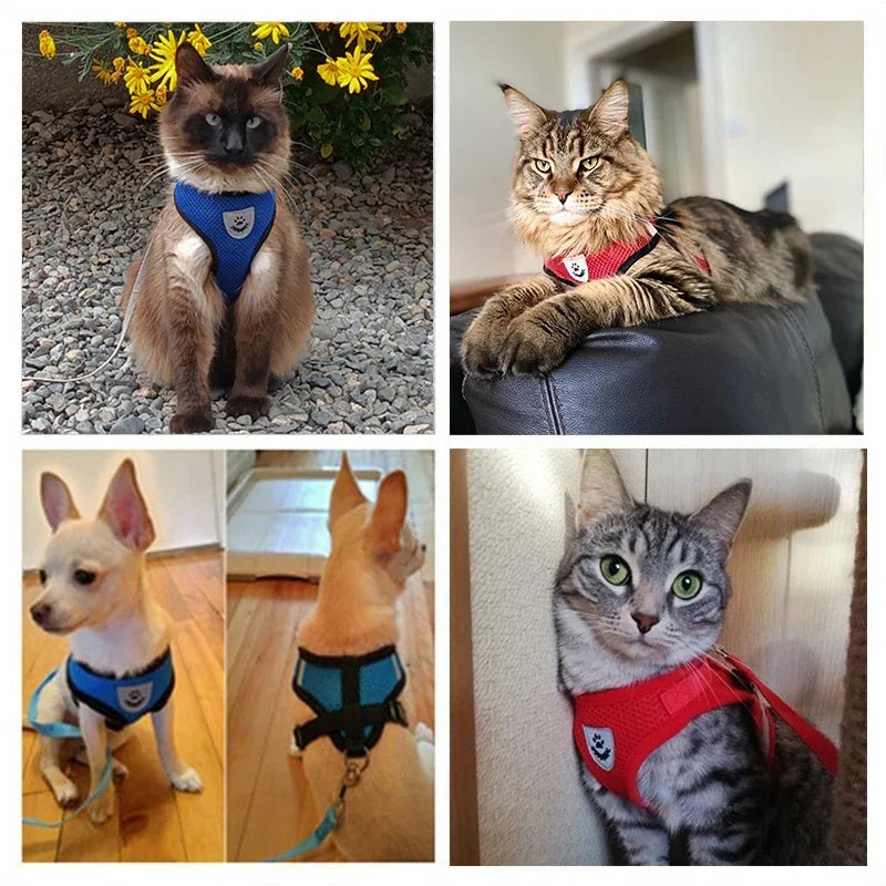 Arnés para mascotas, chaleco ajustable, cuerda de tracción para caminar, juego para collar de perro, arnés de malla transpirable para collar de gato pequeño y mediano