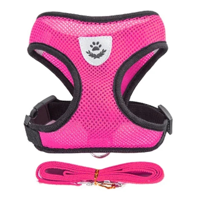 Adjustable Pet Harness Vest & Traction Rope Set