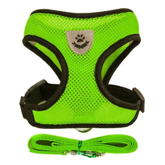 Adjustable Pet Harness Vest & Traction Rope Set