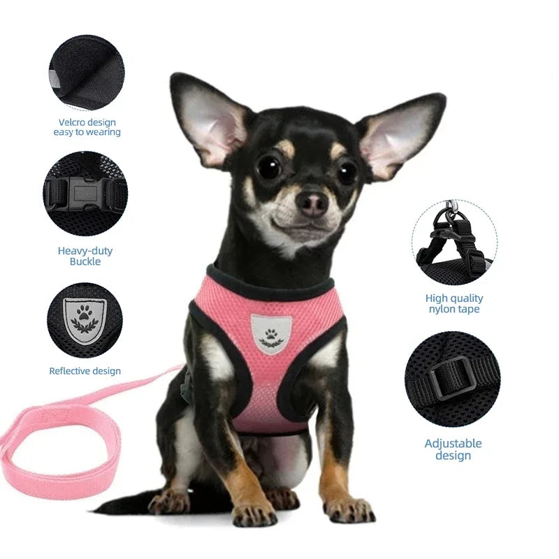 Adjustable Pet Harness Vest & Traction Rope Set