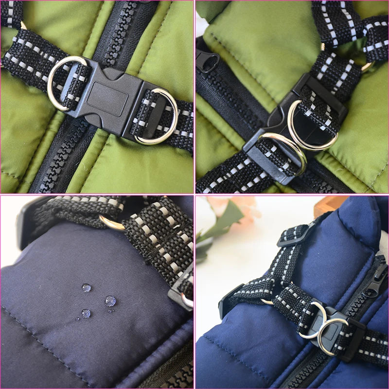 Pet Jacket With Harness Winter