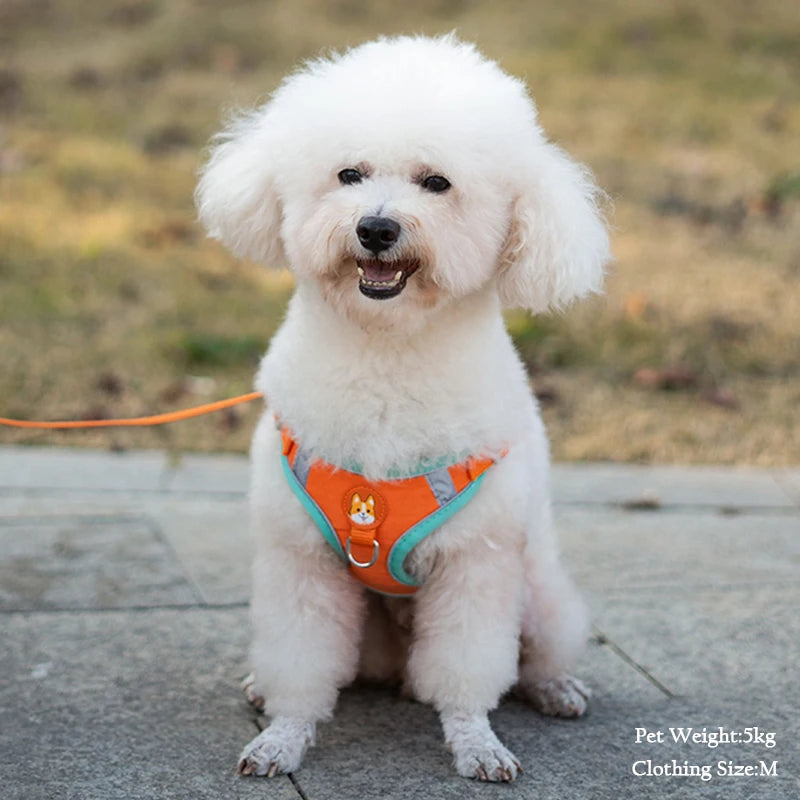 Arnés de pecho de gamuza para mascotas, chaleco con correa reflectante, retráctil, ligero y práctico para perros pequeños