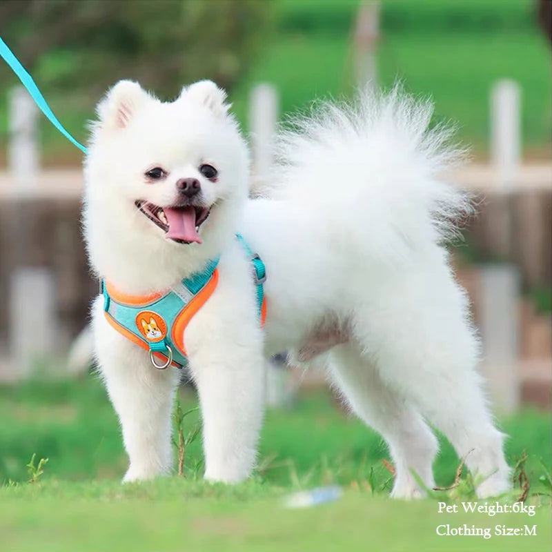 Arnés de pecho de gamuza para mascotas, chaleco con correa reflectante, retráctil, ligero y práctico para perros pequeños