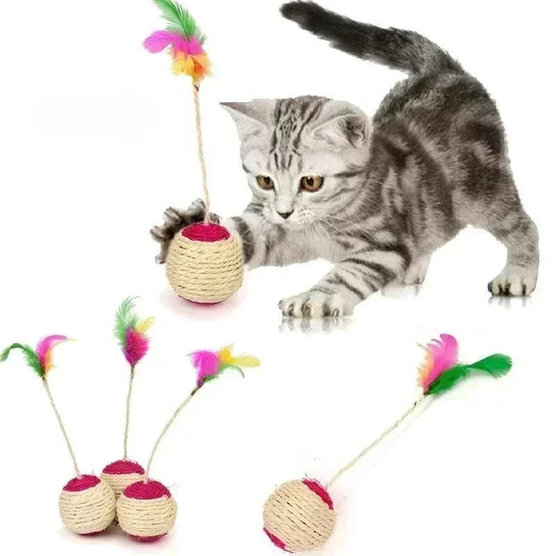 Training Interactive Toy for Kitten