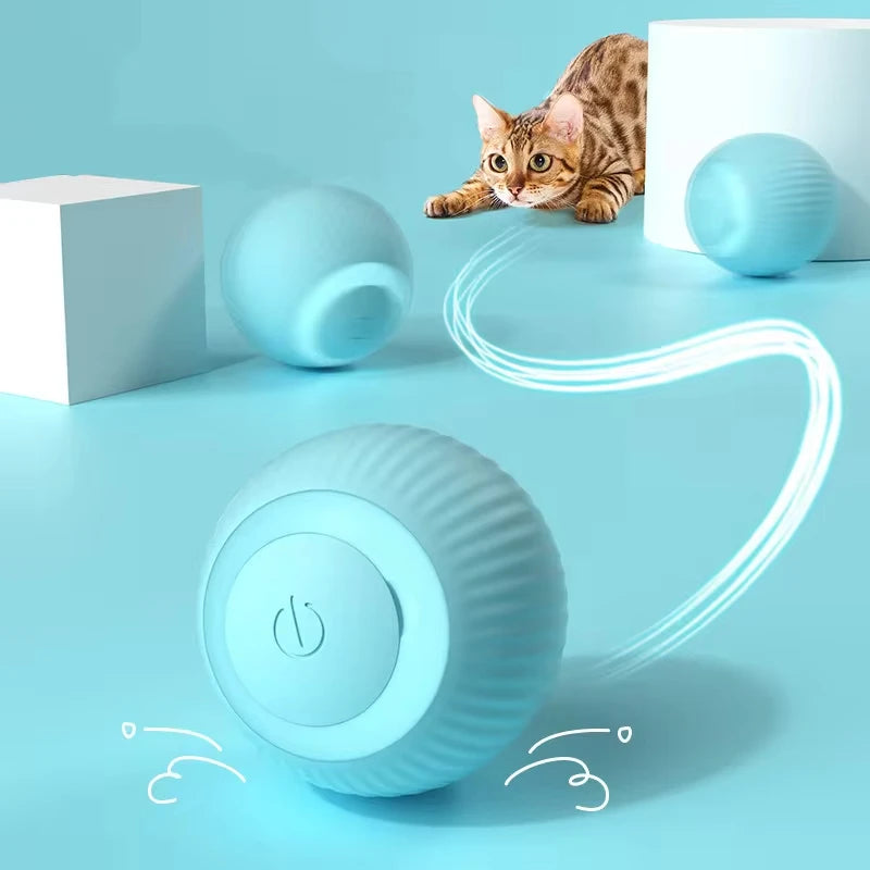 Interactive Ball Cat Toys