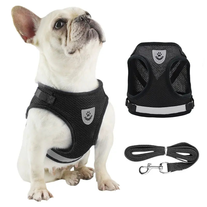 Adjustable Mesh Dog Harness & Leash Set - Reflective