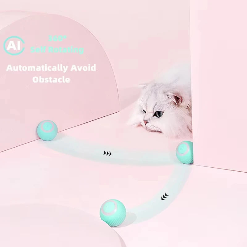 Interactive Ball Cat Toys