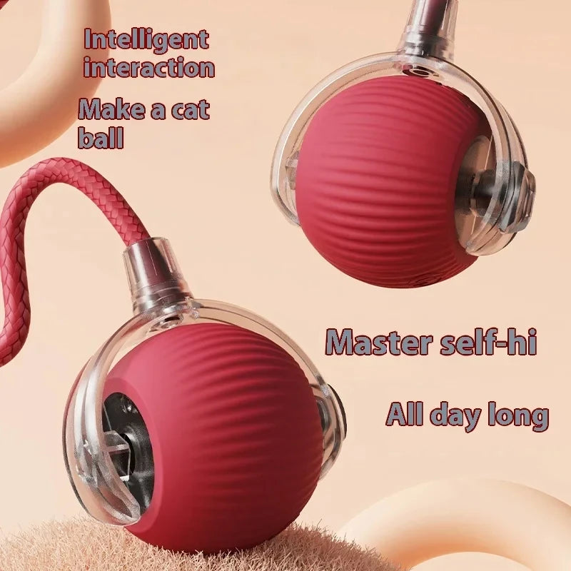 Automatic Ball Rolling Cat Toy