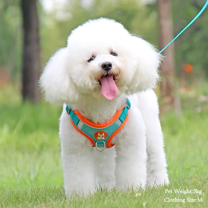 Arnés de pecho de gamuza para mascotas, chaleco con correa reflectante, retráctil, ligero y práctico para perros pequeños