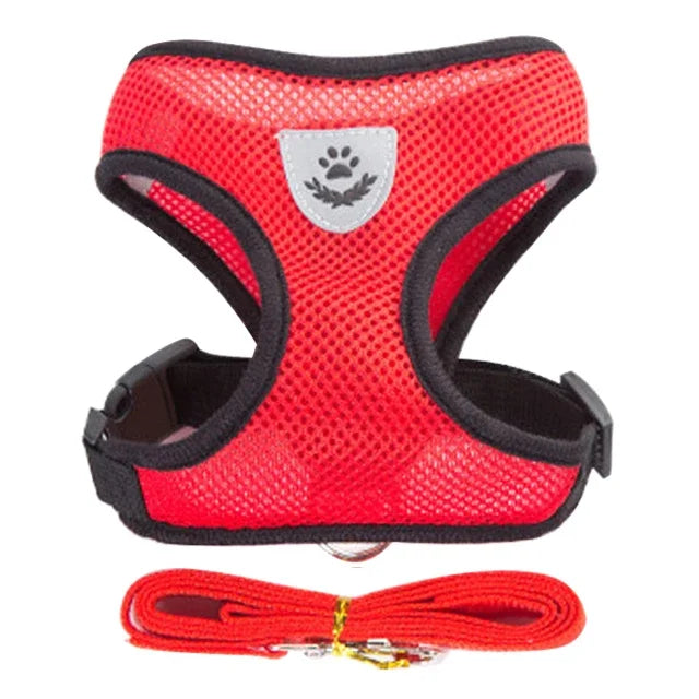 Adjustable Pet Harness Vest & Traction Rope Set