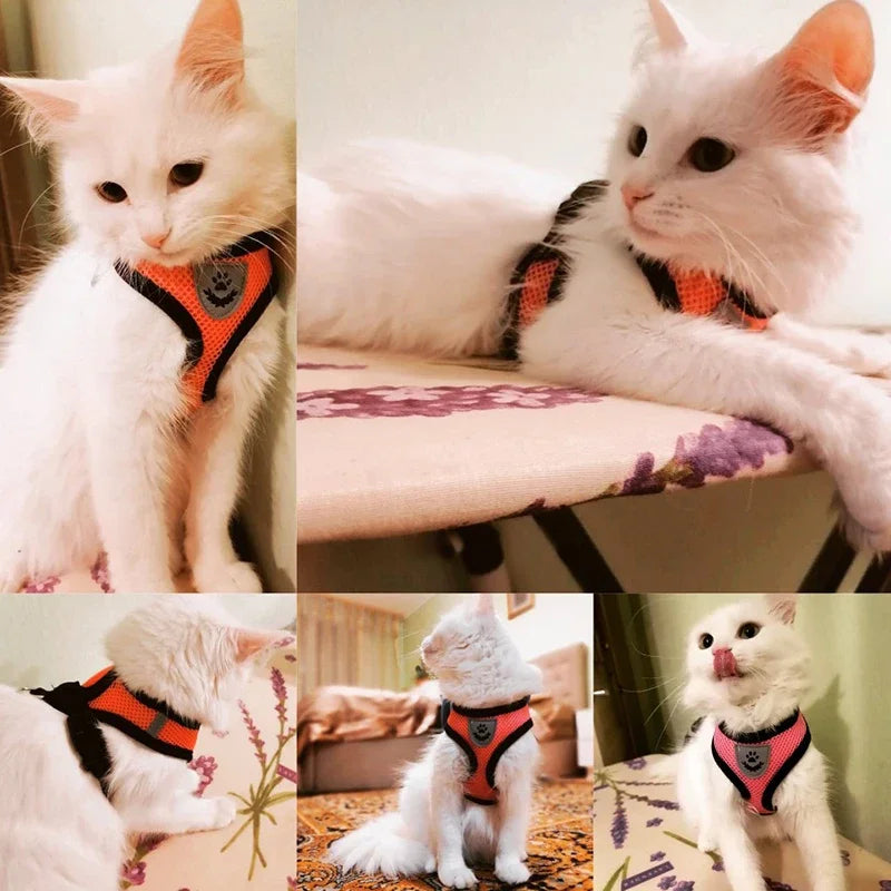 Adjustable Summer Cat Dog Harness Lead Leash Vest